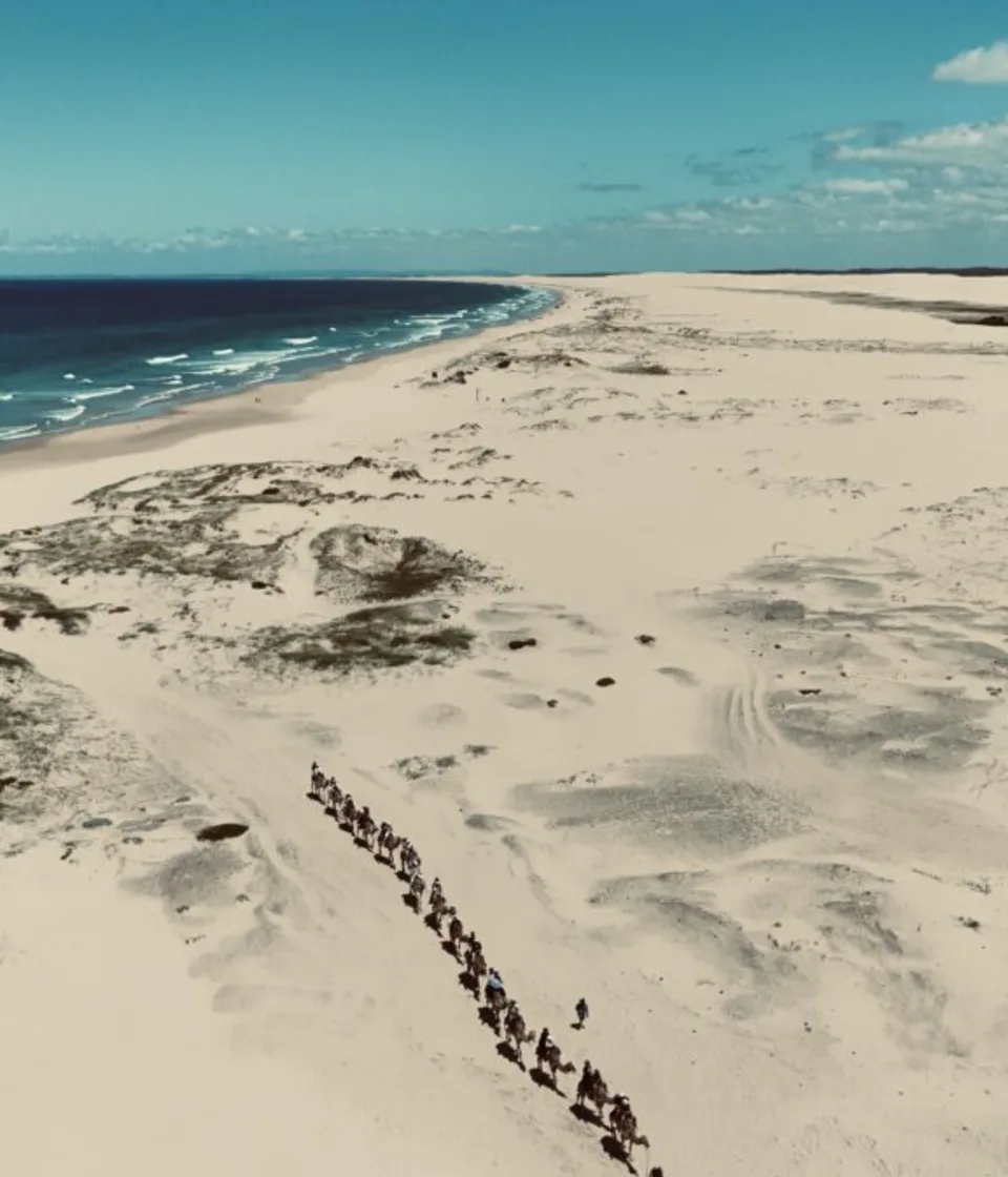 77 Tours guide with travellers at Anna Bay sand dunes, Port Stephens NSW