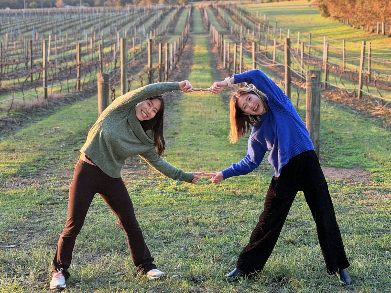 Hunter Valley Day Tour from Sydney: The Complete Guide