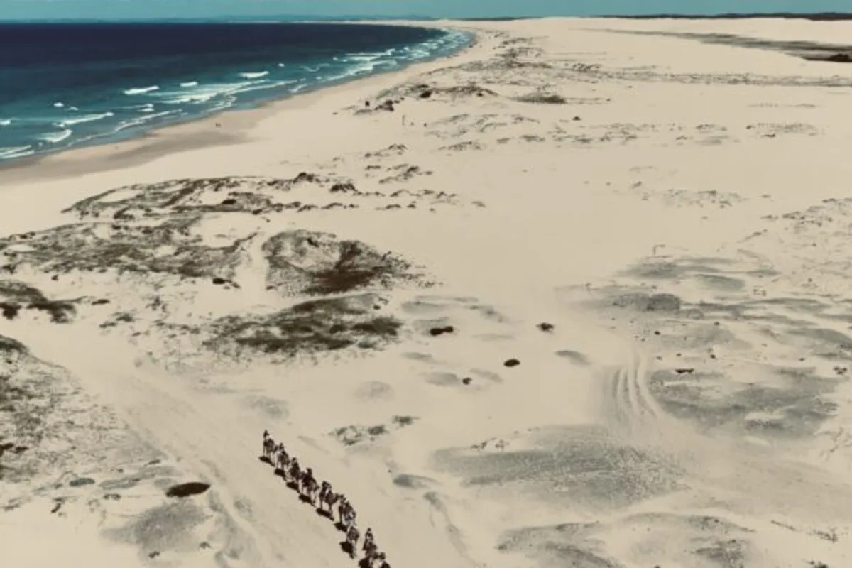 The Most Beautiful Beaches in Sydney and Surroundings