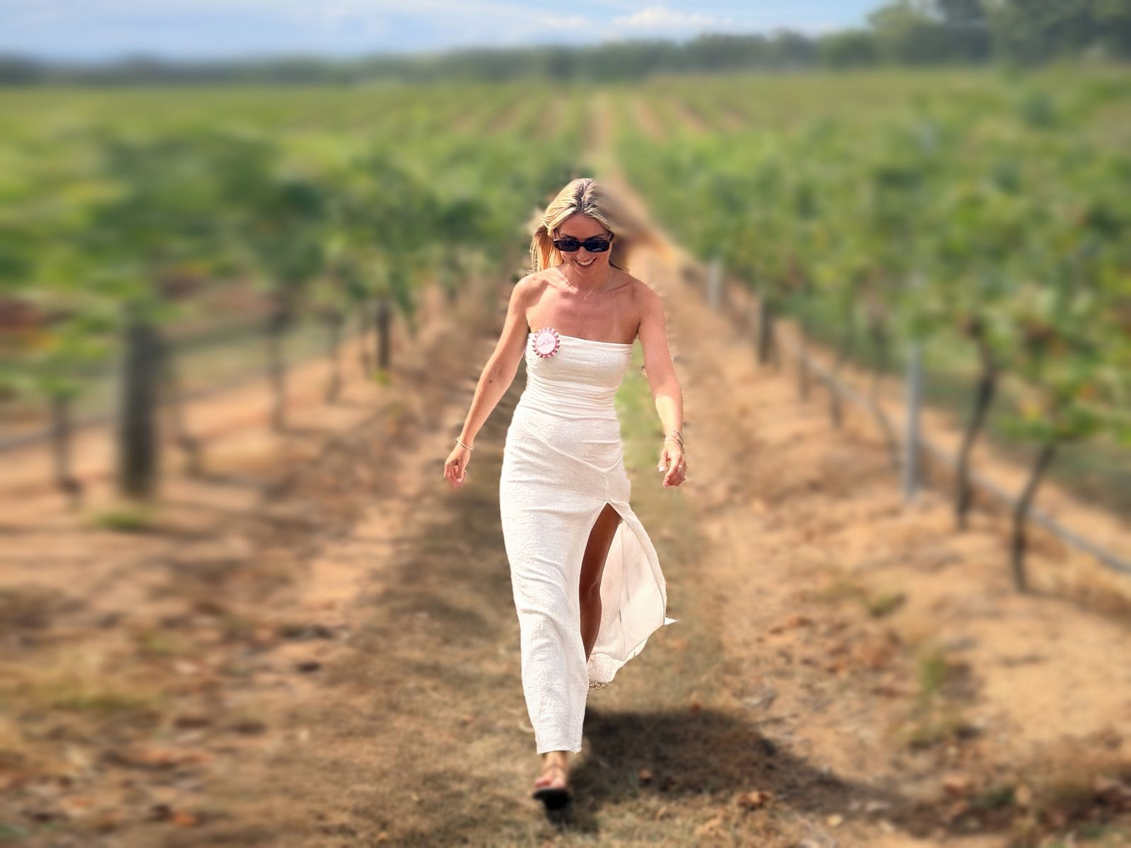 Hunter Valley Day Trip from Sydney: Wine, Cheese & Kangaroos