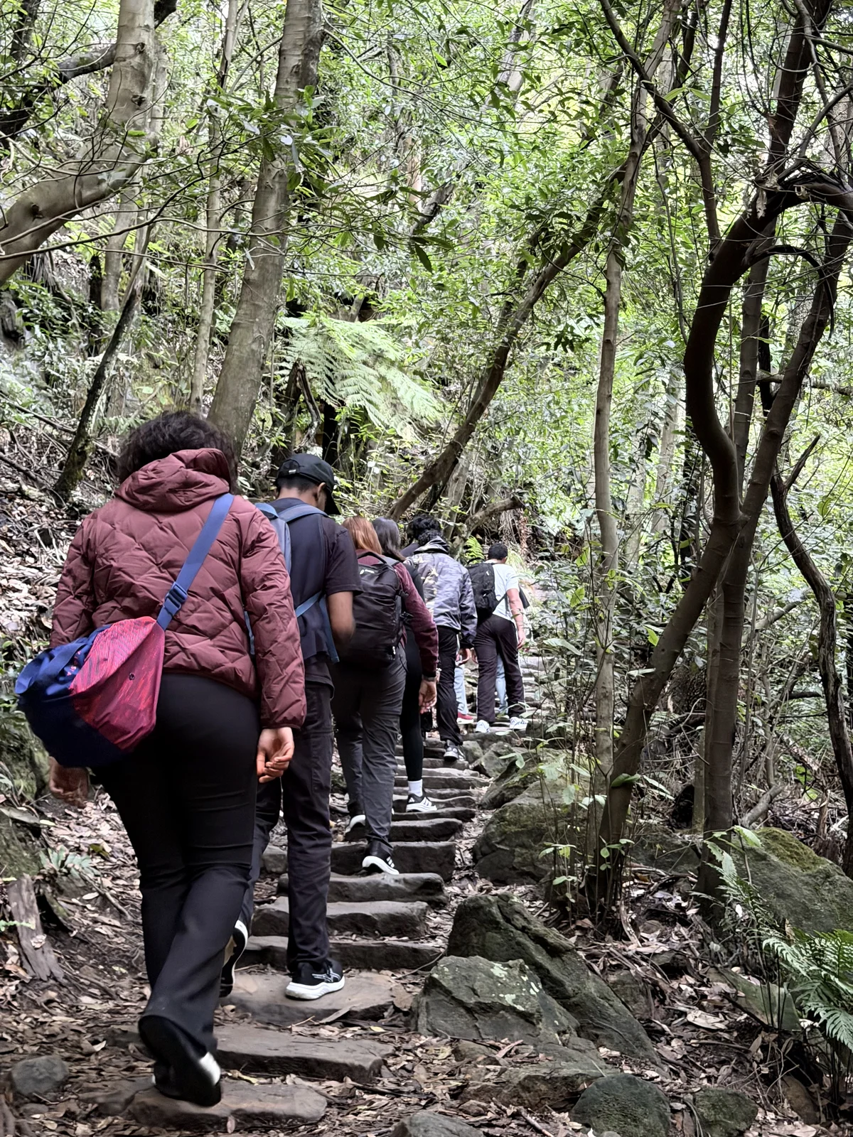 Blue Mountains Day Tour photo 9