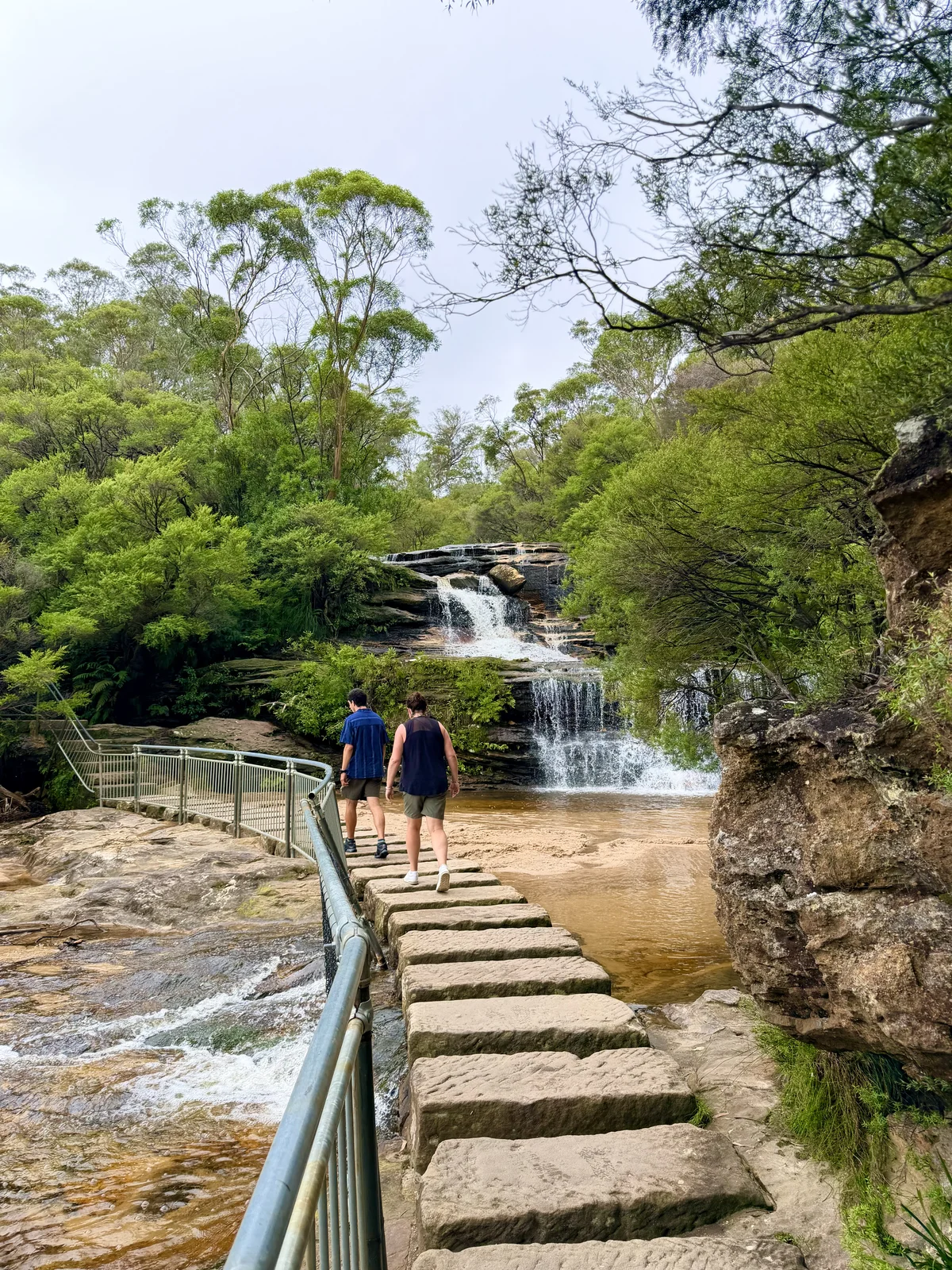Blue Mountains Day Tour photo 6